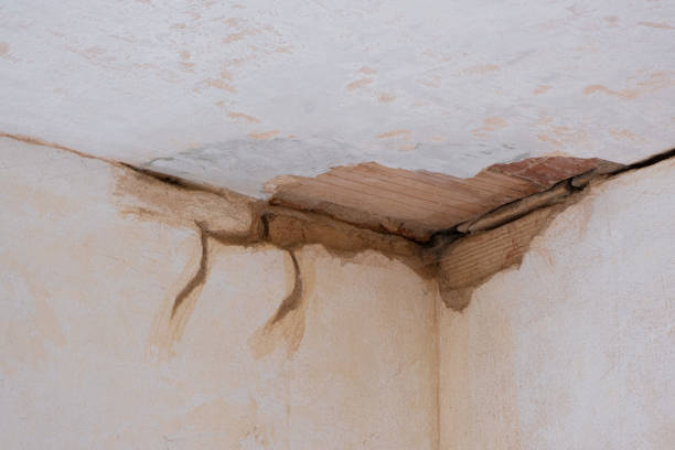 Reliable MO Water damage restoration Solutions