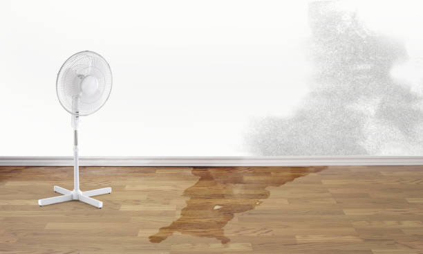 Best Flood restoration services  in Holts Summit, MO