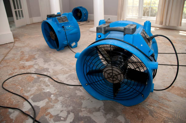 Best Water damage restoration services  in Holts Summit, MO