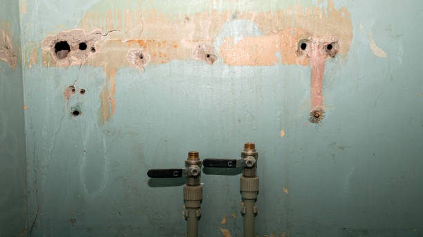 Best 24/7 water damage repair  in Holts Summit, MO