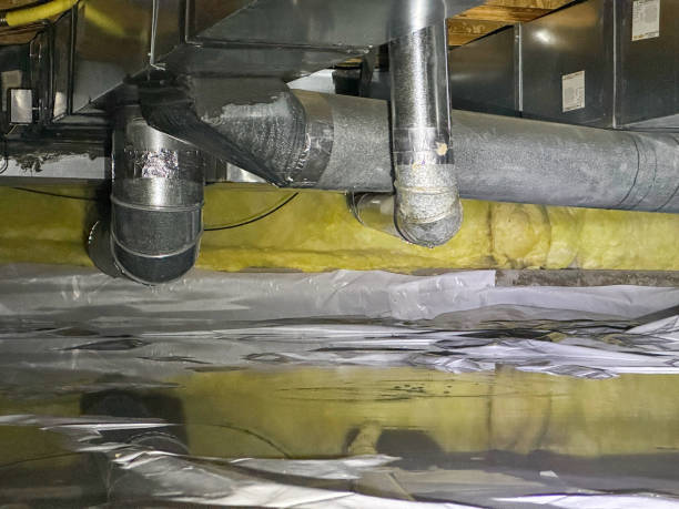 Best Carpet water damage restoration  in Holts Summit, MO