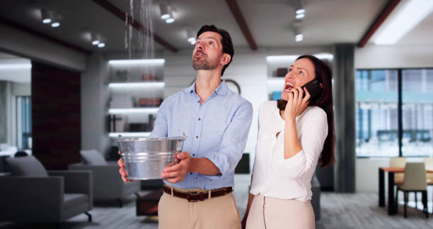 Best Flood damage cleanup  in Holts Summit, MO