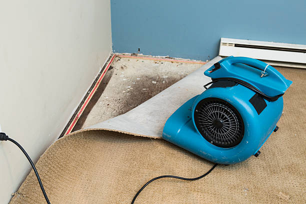 Best Emergency water damage restoration  in Holts Summit, MO